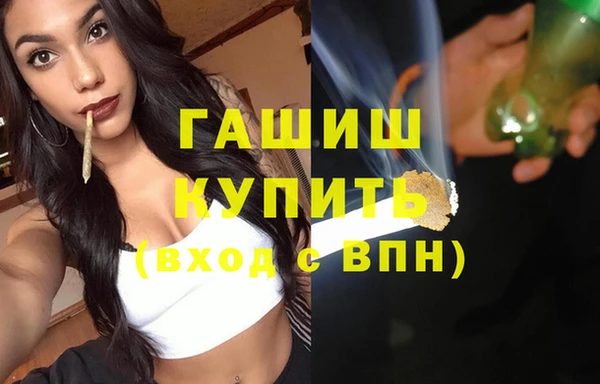 шишки Бородино
