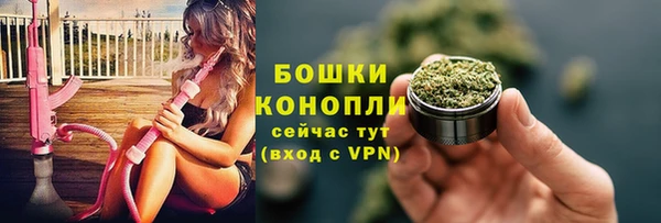 ПСИЛОЦИБИНОВЫЕ ГРИБЫ Верхнеуральск