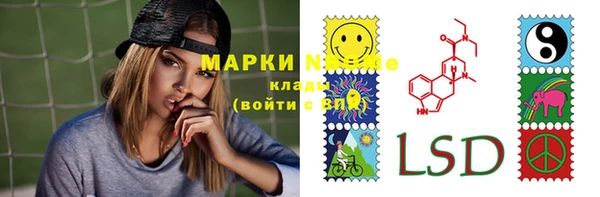 прущая мука Вяземский