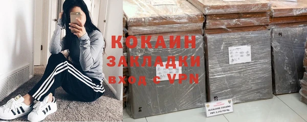 ГАЛЛЮЦИНОГЕННЫЕ ГРИБЫ Вязьма