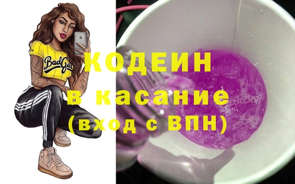 прущая мука Вяземский