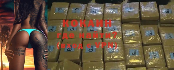 шишки Бородино